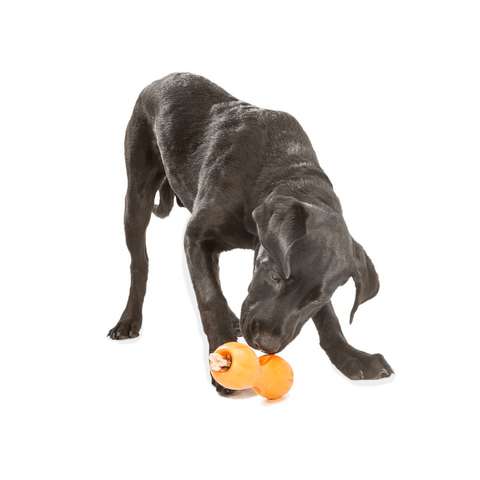 Qwizl Treat Dispensing Dog Toy Orange