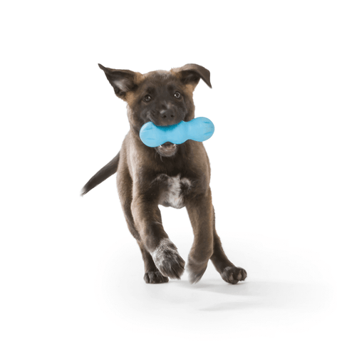Rumpus Tough Fetch Stick Dog Toy Blue