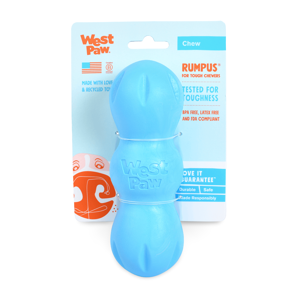 Rumpus Tough Fetch Stick Dog Toy Blue