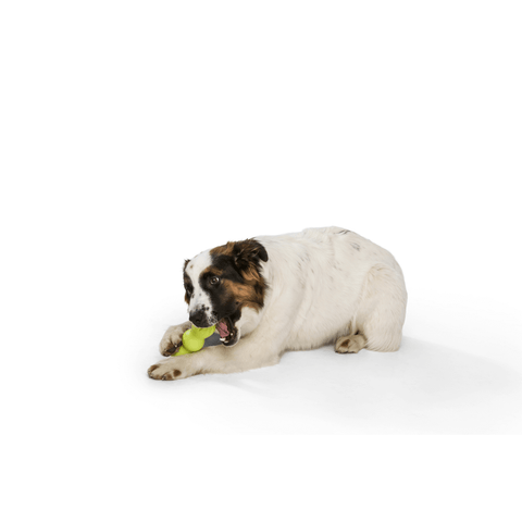 Rumpus Tough Fetch Stick Dog Toy Green