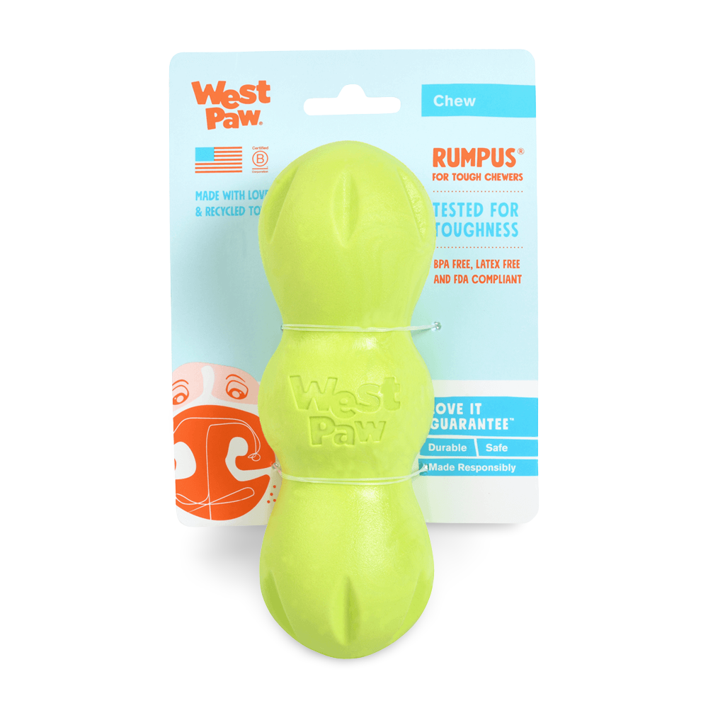 Rumpus Tough Fetch Stick Dog Toy Green