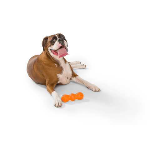Rumpus Tough Fetch Stick Dog Toy Orange