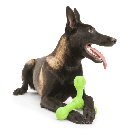 Skamp Flyer Inspired Fetch Dog Toy Jungle Green