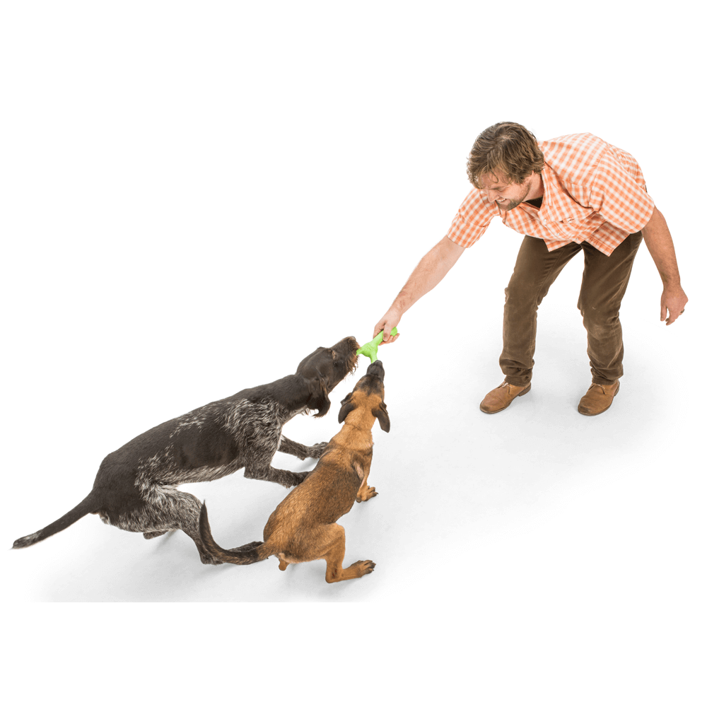 Skamp Flyer Inspired Fetch Dog Toy Jungle Green