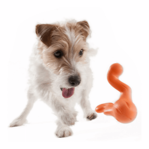 Tizzi Treat Tug Tough Dog Toy Orange