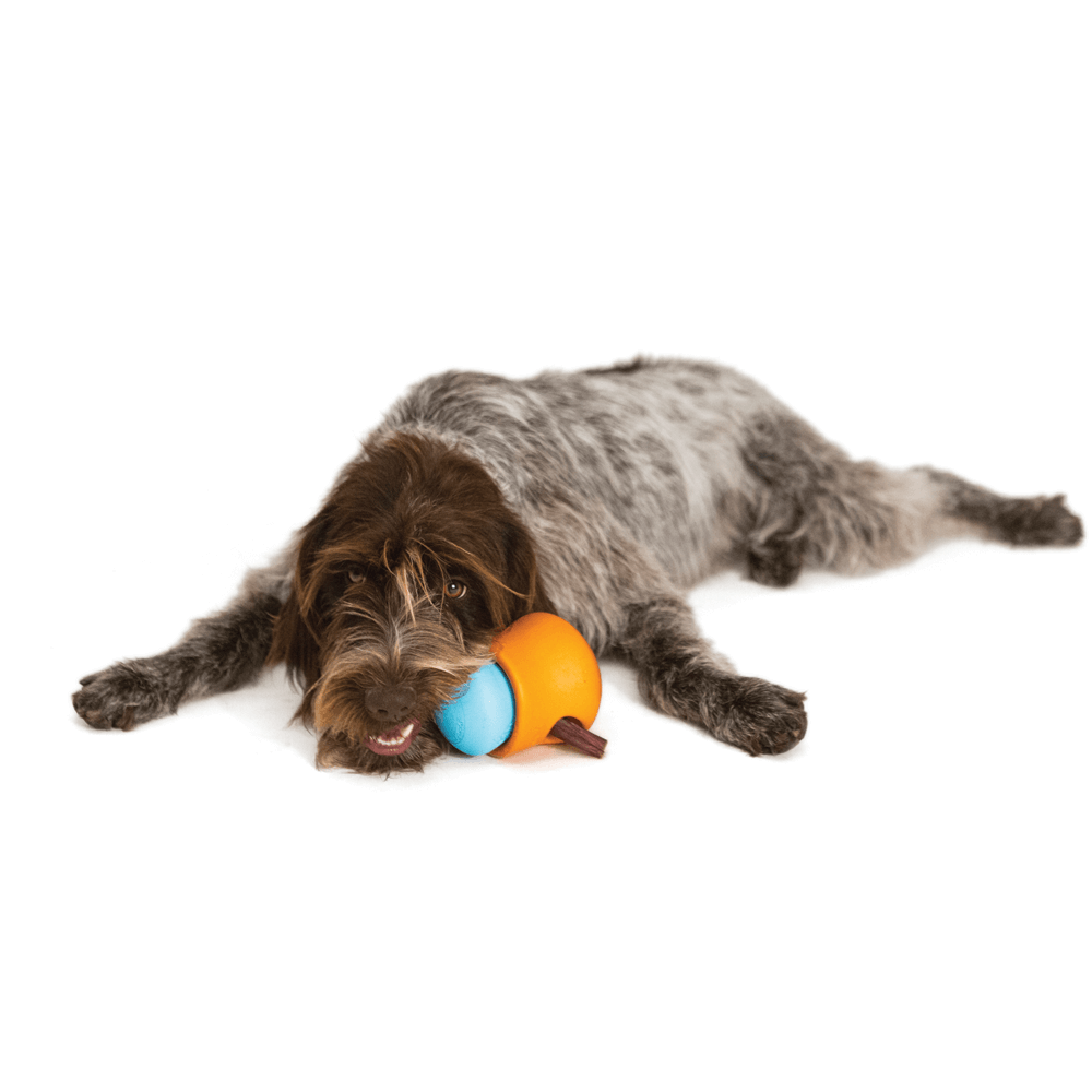 Toppl Treat Dispensing Dog Toy Blue