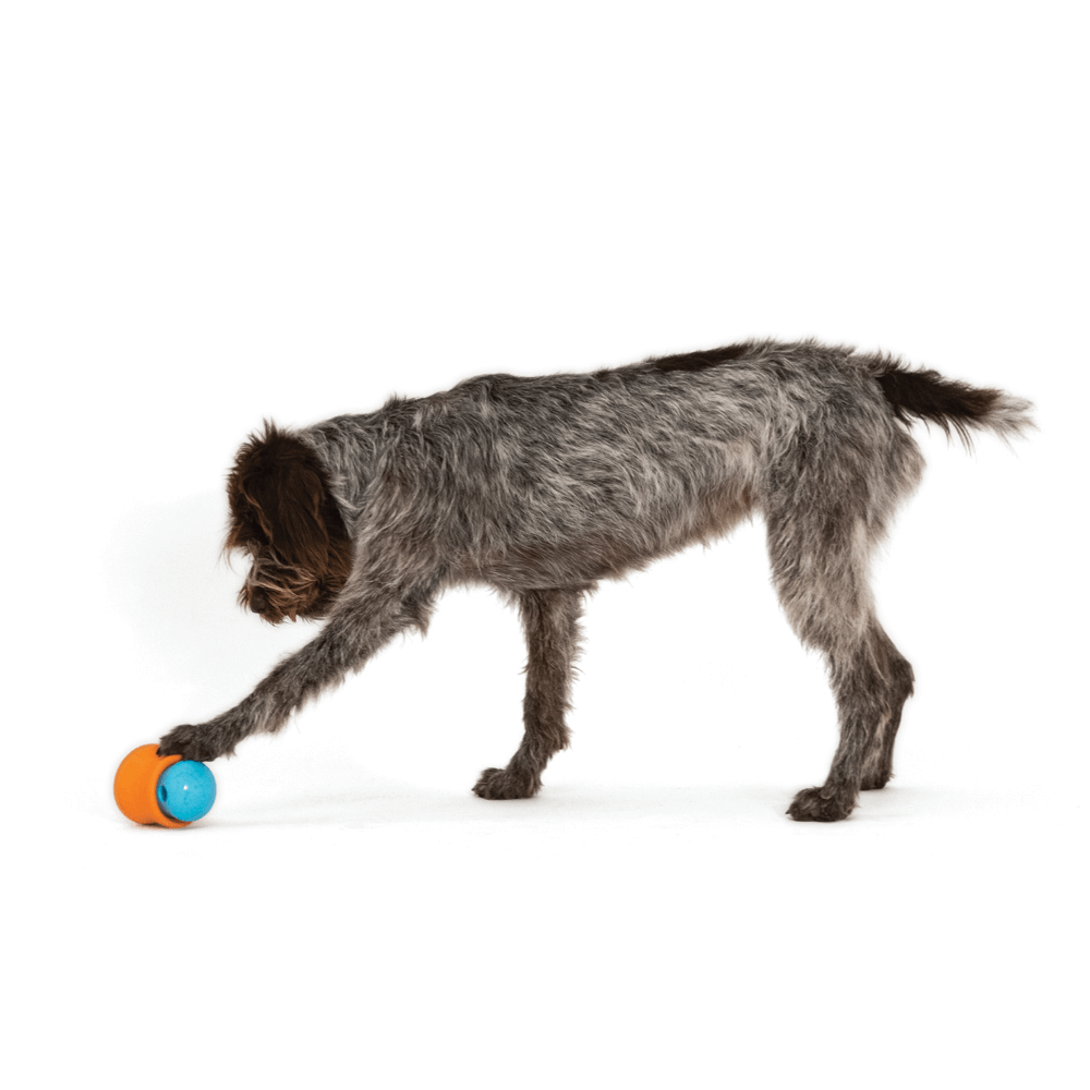 Toppl Treat Dispensing Dog Toy Blue