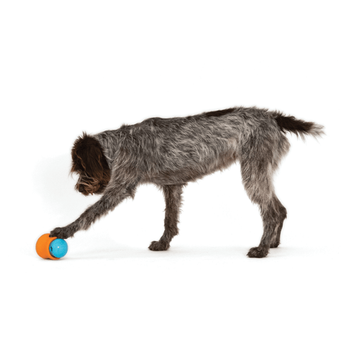 Toppl Treat Dispensing Dog Toy Blue