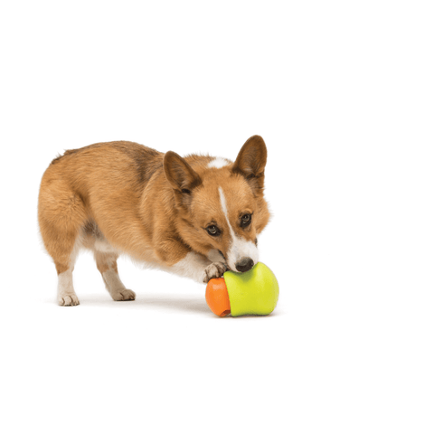 Toppl Treat Dispensing Dog Toy Green