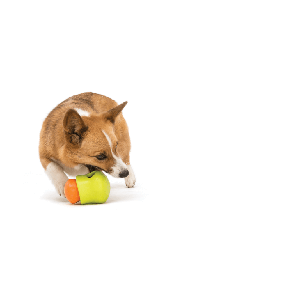 Toppl Treat Dispensing Dog Toy Green