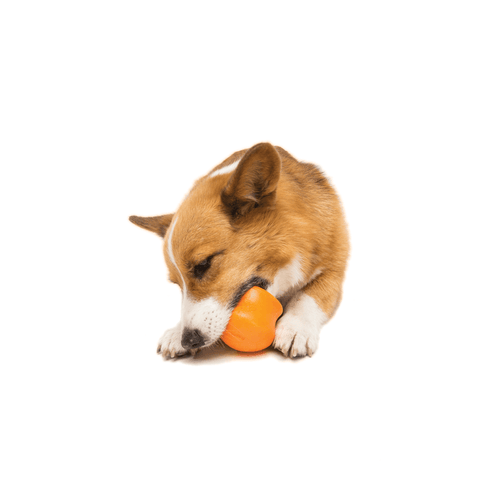Toppl Treat Dispensing Dog Toy Orange