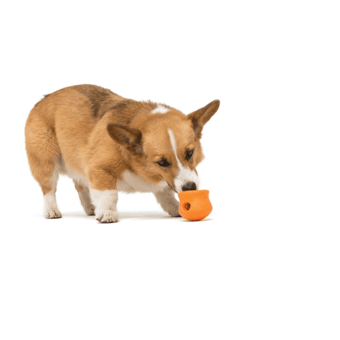 Toppl Treat Dispensing Dog Toy Orange