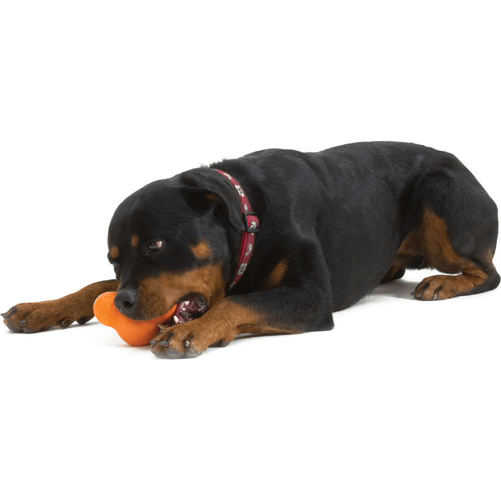 Tux Treat Dispensing Tough Dog Toy Orange