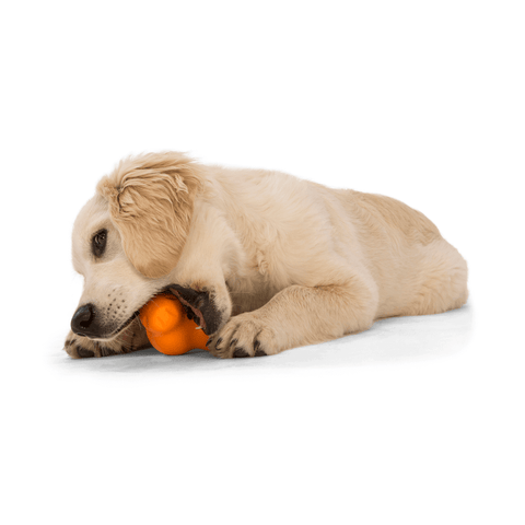 Tux Treat Dispensing Tough Dog Toy Orange