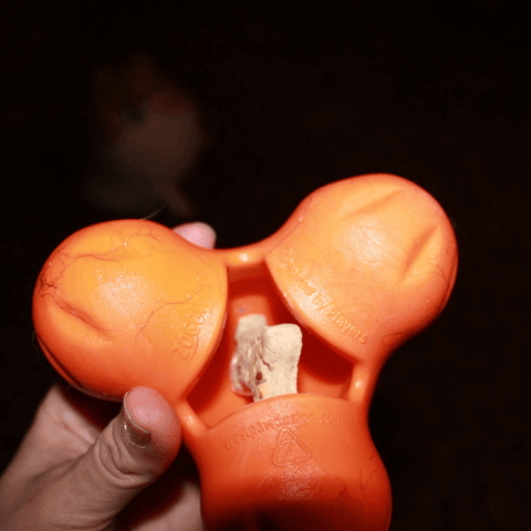 Tux Treat Dispensing Tough Dog Toy Orange