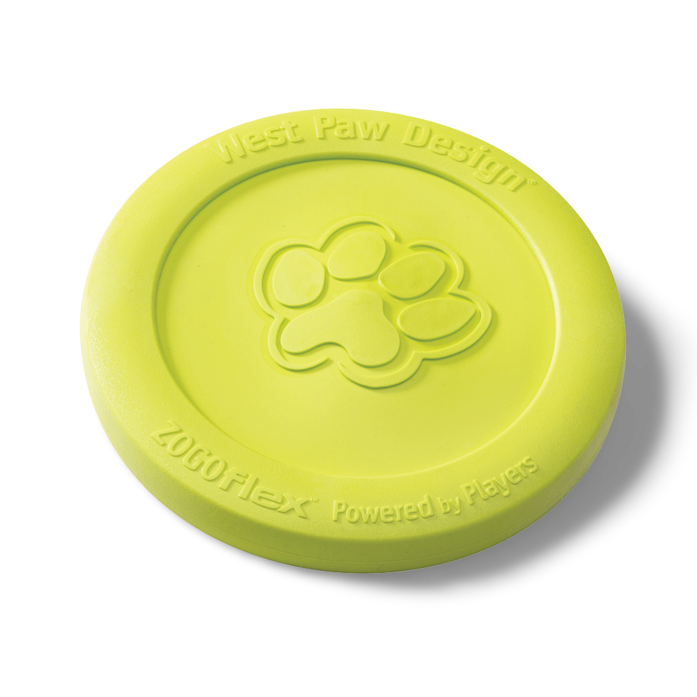 Zisc Flying Disc Fetch Dog Toy Green