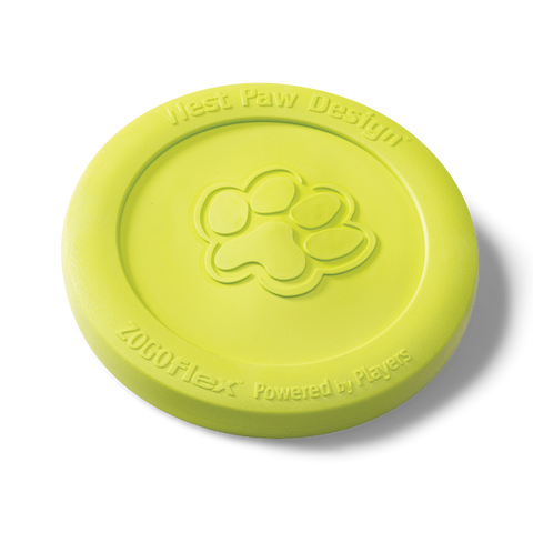 Zisc Flying Disc Fetch Dog Toy Green