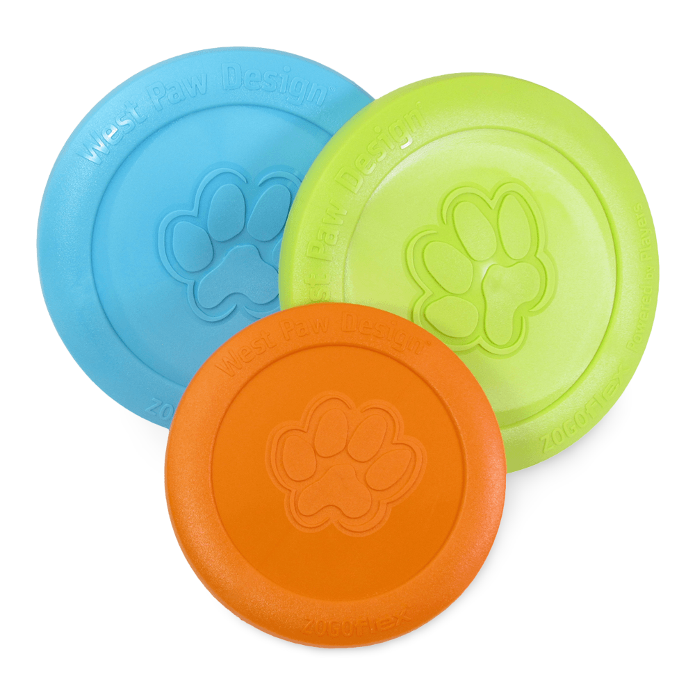 Zisc Flying Disc Fetch Dog Toy Orange