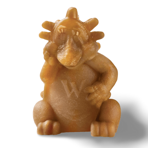 Hedgehog Dental Bulk Box Xlarge Dog Treats