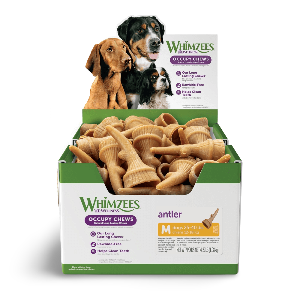 Occupy Antler Medium Dog Treats