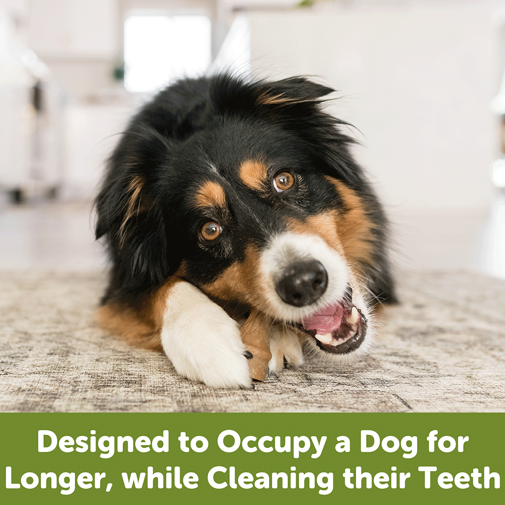 Occupy Antler Medium Dog Treats