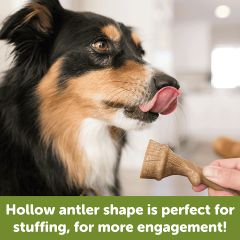 Occupy Antler Medium Dog Treats