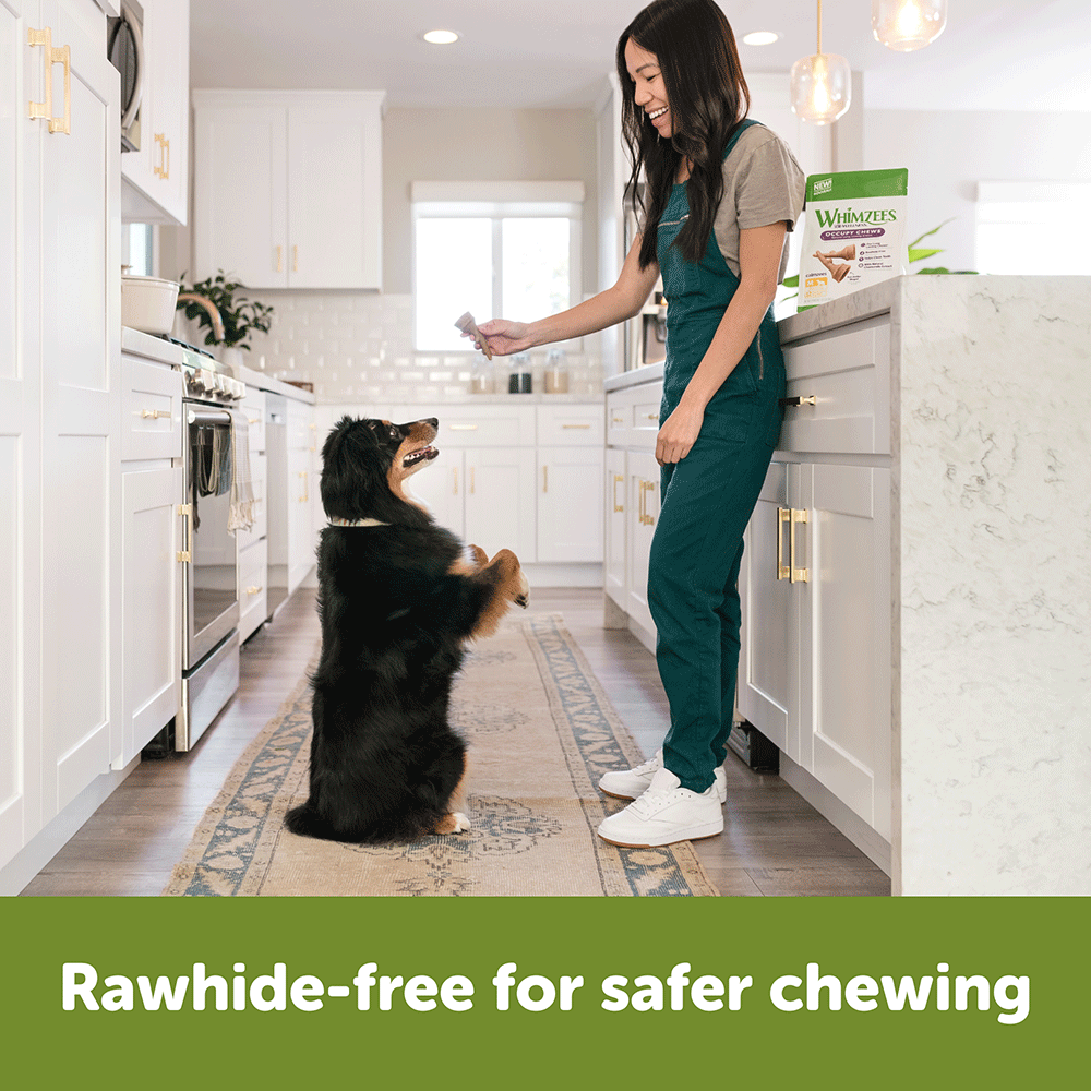 Occupy Antler Medium Dog Treats