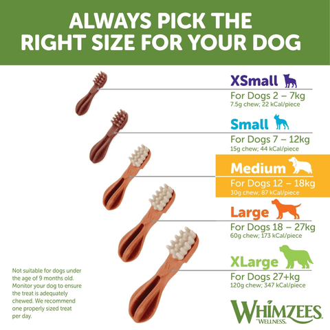 Toothbrush Medium Dental Dog Treats