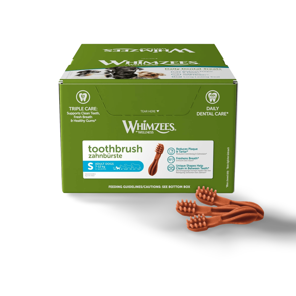 Toothbrush Small Dental Dog Treats