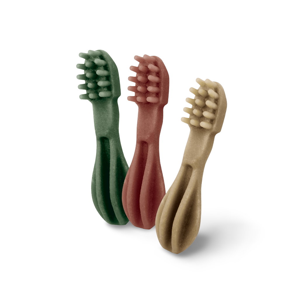 Toothbrush Small Dental Dog Treats