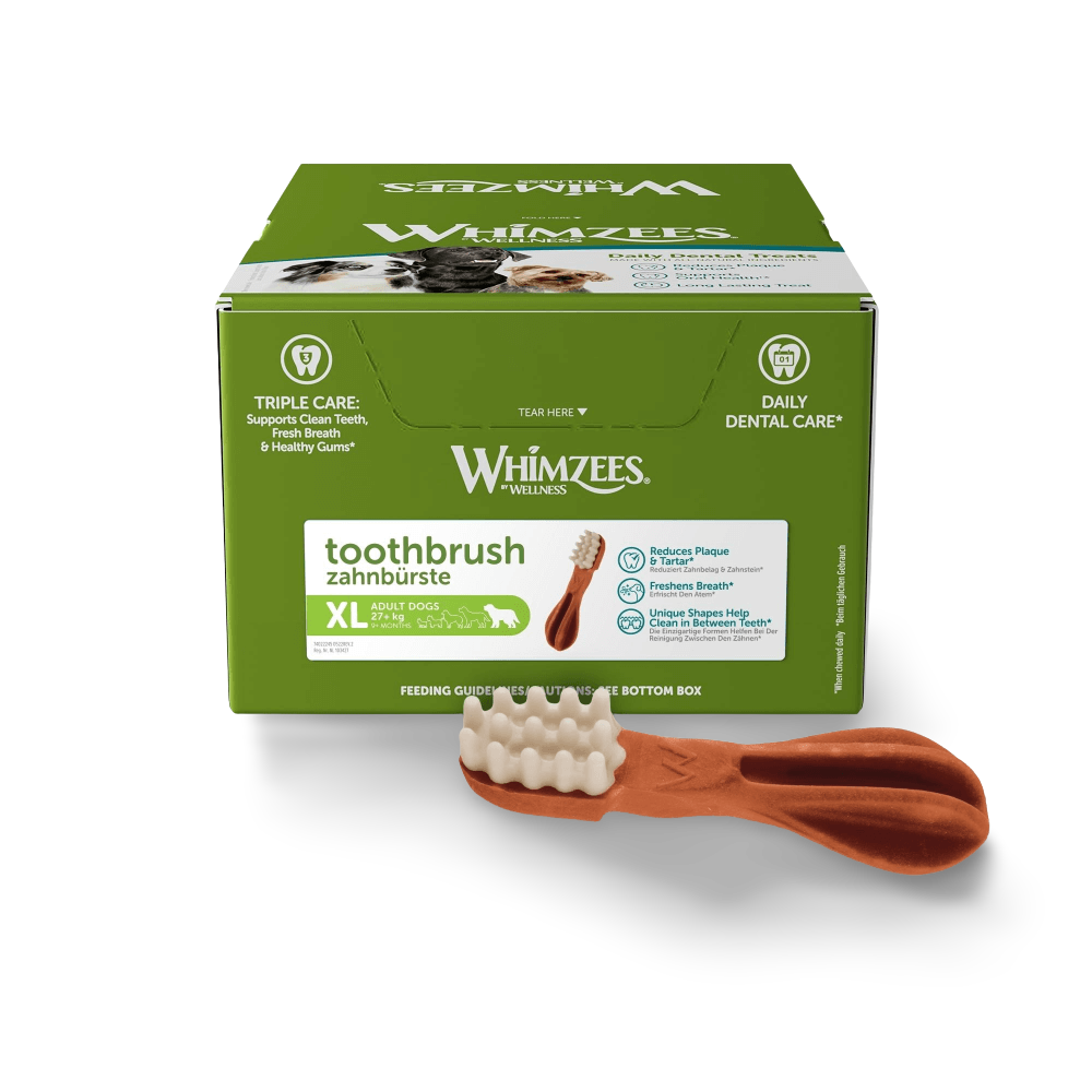 Toothbrush Xlarge Dental Dog Treats