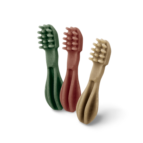 Toothbrush Xsmall Dental Dog Treats