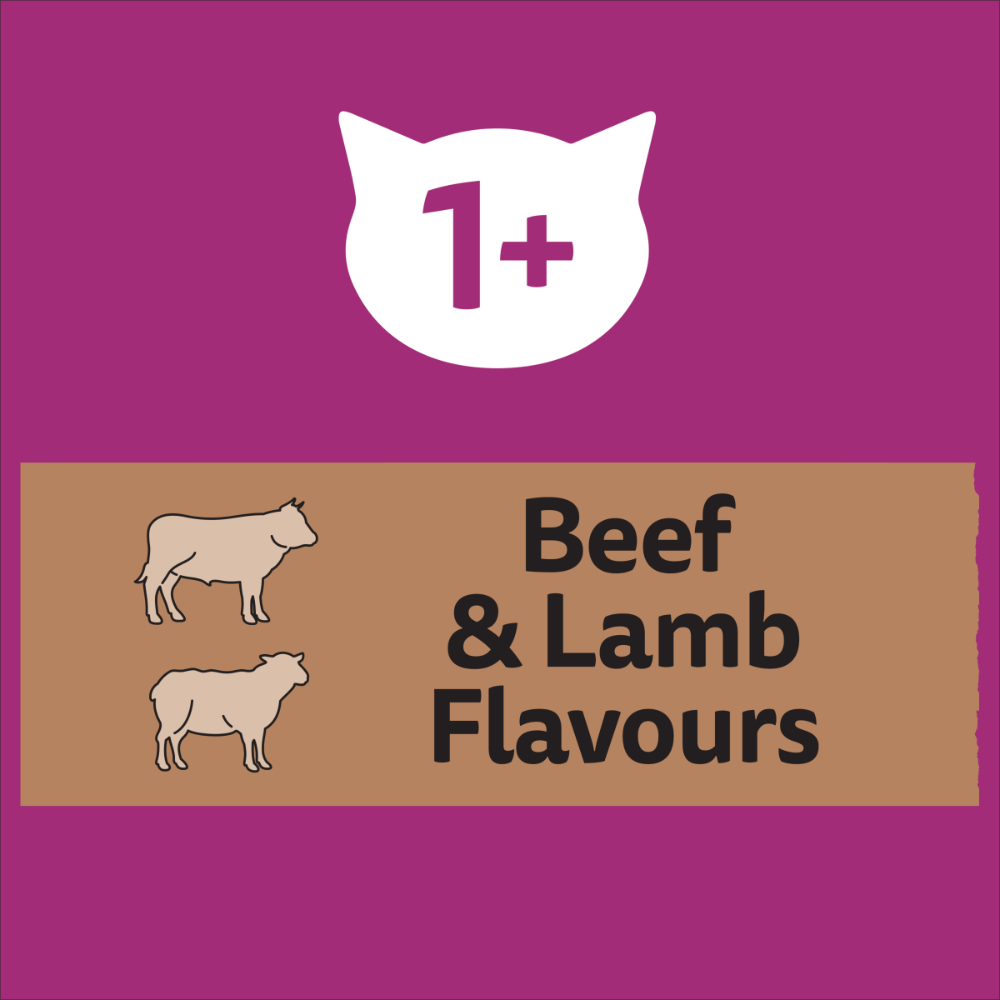 1 Plus Beef And Lamb Dry Cat Food