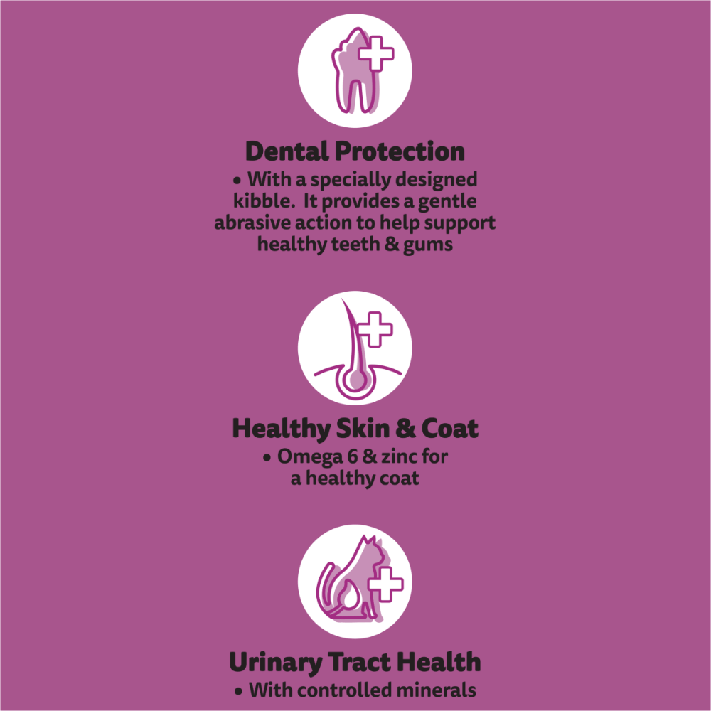 1 Plus Beef And Lamb Dry Cat Food