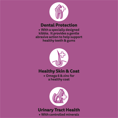 1 Plus Beef And Lamb Dry Cat Food