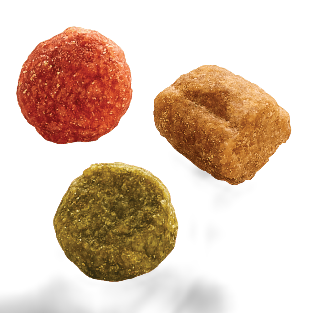 1 Plus Beef And Lamb Dry Cat Food