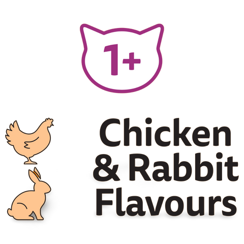 1 Plus Chicken And Rabbit Dry Cat Food