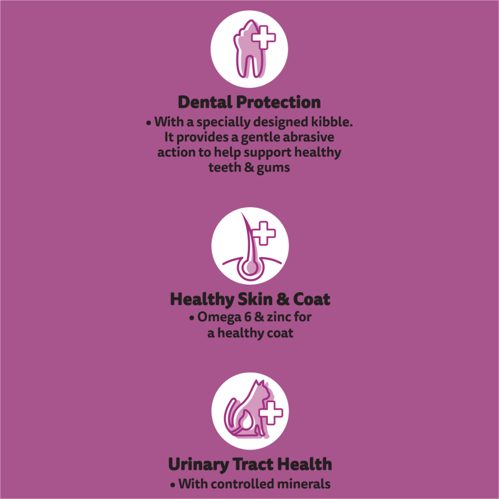 1 Plus Chicken And Turkey Dry Cat Food