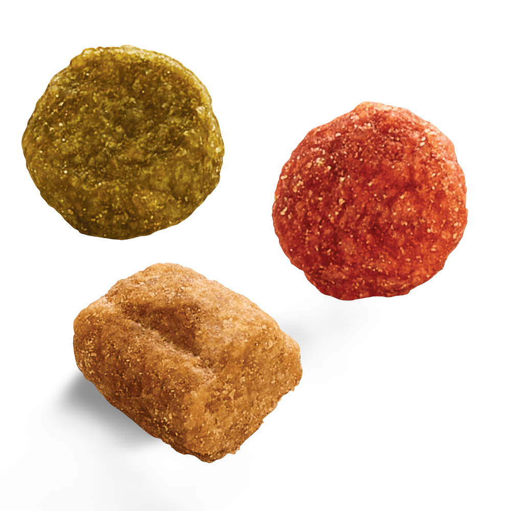 Adult 1 Plus Year Tuna Dry Cat Food