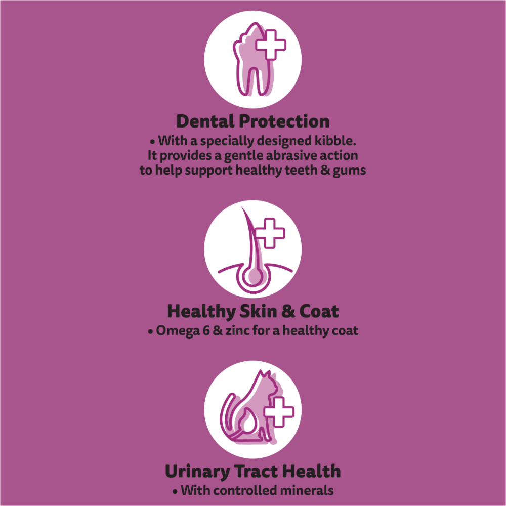 Adult 1 Plus Year Tuna Dry Cat Food