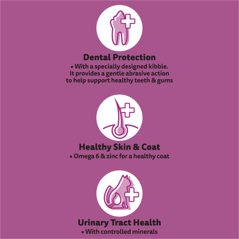 Adult 1 Plus Year Tuna Dry Cat Food