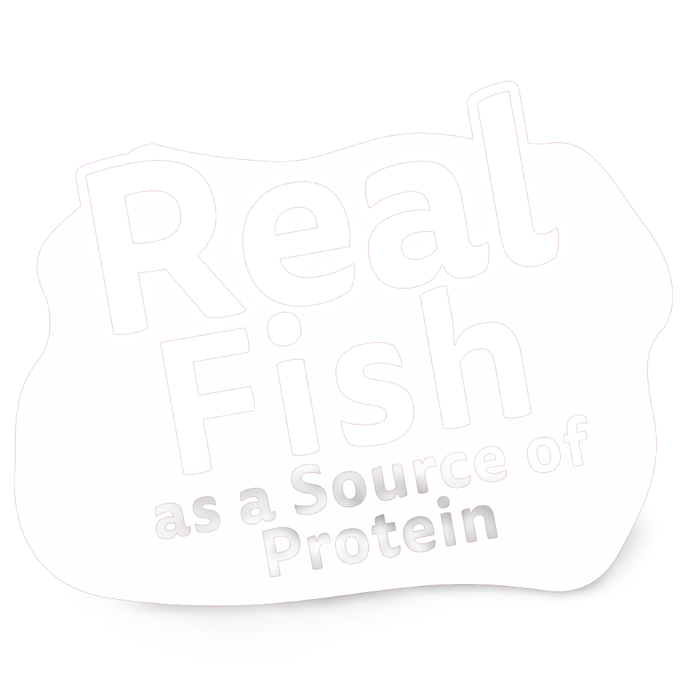 Adult 1 Plus Year Tuna Dry Cat Food