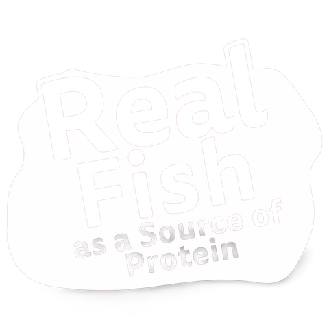 Adult 1 Plus Year Tuna Dry Cat Food