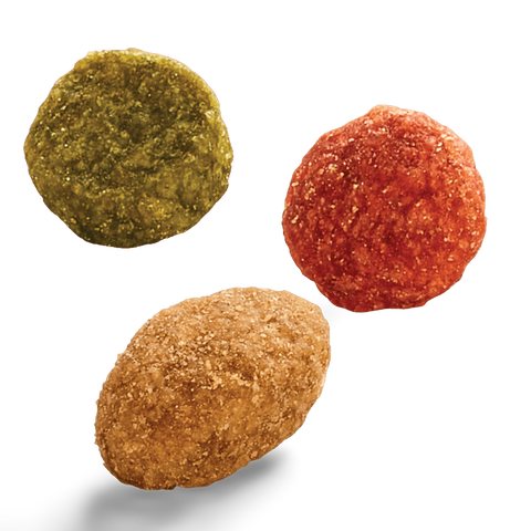 Tuna And Sardine Flavours Dry Cat Food