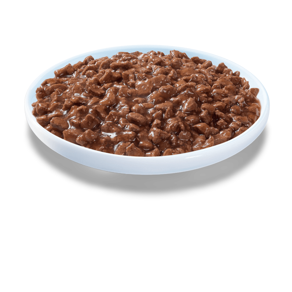 Wet Cat Food Adult 1 Plus Beef Mince