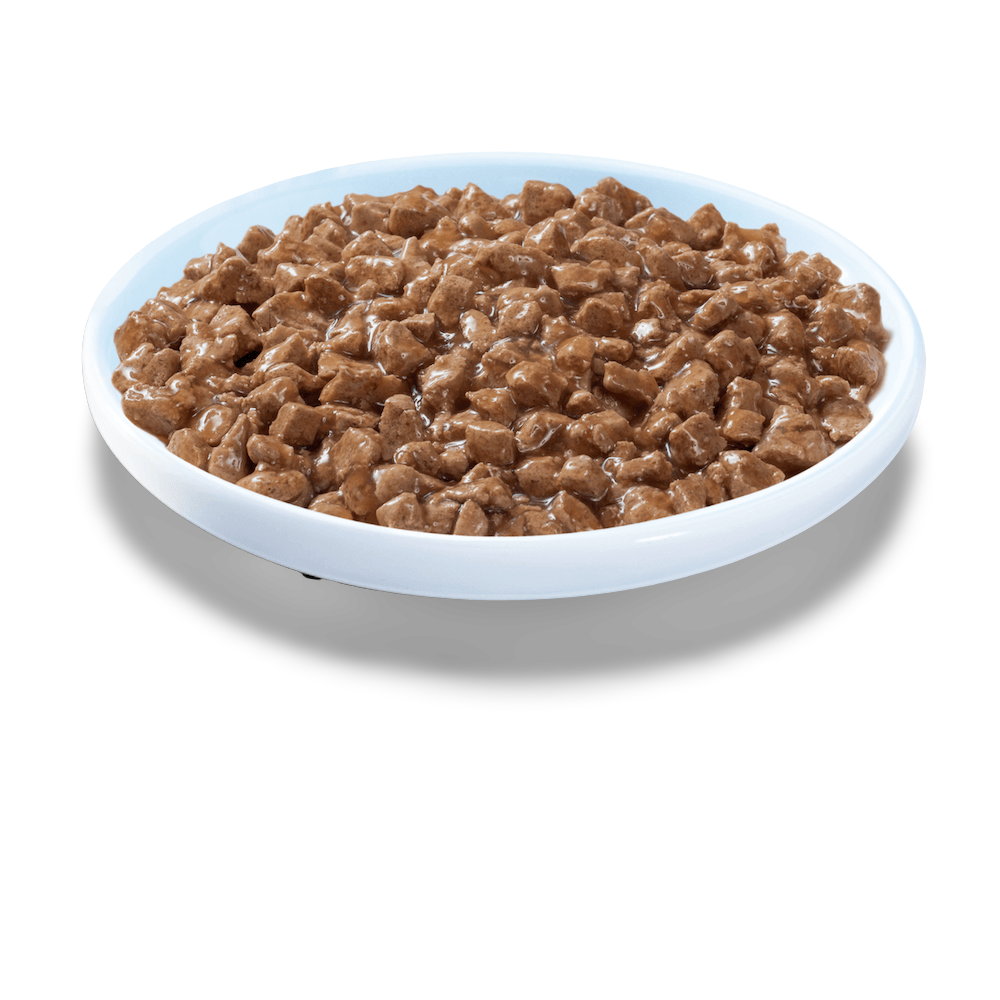 Wet Cat Food Adult 1 Plus Chicken Mince