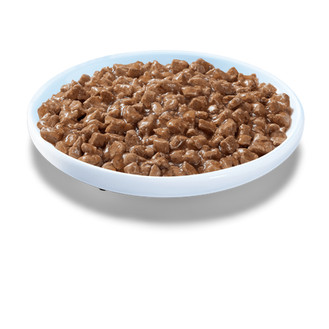 Wet Cat Food Adult 1 Plus Chicken Mince