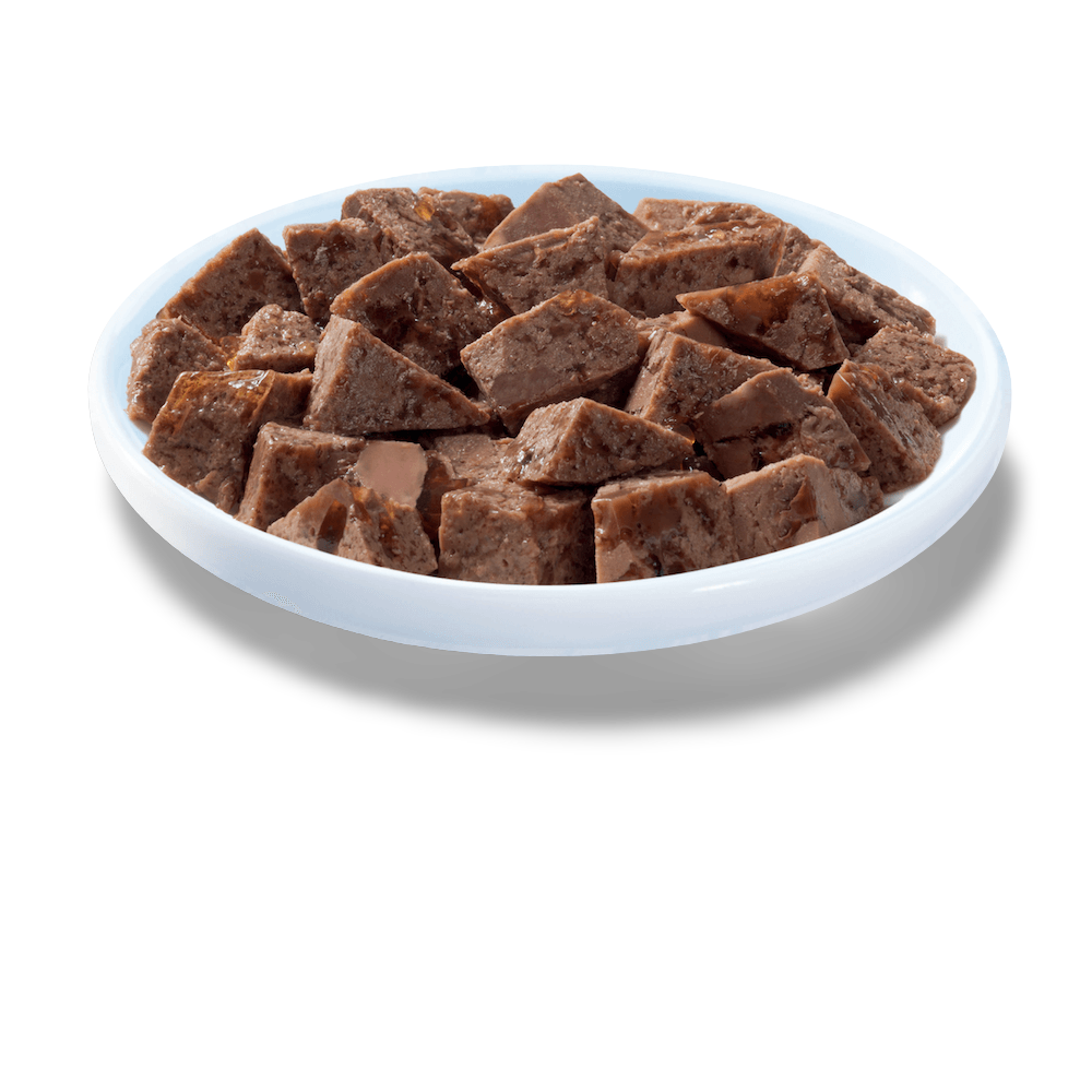 Wet Cat Food Adult 1 Plus Jellymeat Loaf