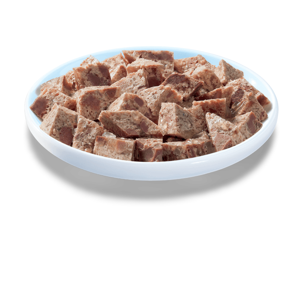 Wet Cat Food Adult 1 Plus Ocean Fish Loaf