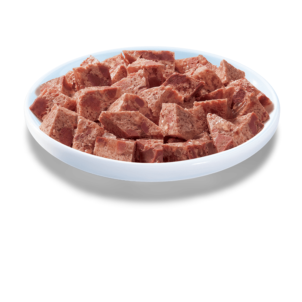 Wet Cat Food Adult 1 Plus Tuna Loaf